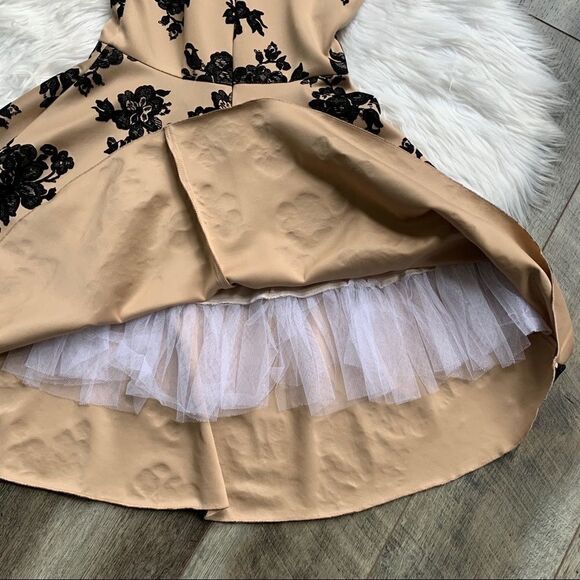 FE Forever Nude and Black Velvet Floral Dress NWT - Picture 15 of 16